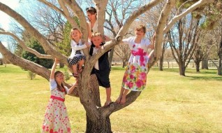 unity and diversity cindy